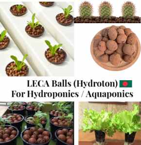 Hydroponic Clay Pebble Hydroton Hydroponics, Aquaponics & Gardening-350± gm