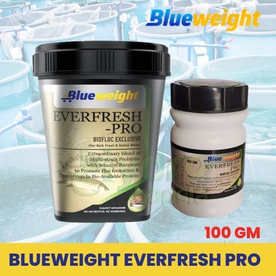 Blueweight Everfresh Pro 100 GM Aqua Probiotics For Shrimp and Biofloc Fish Culture