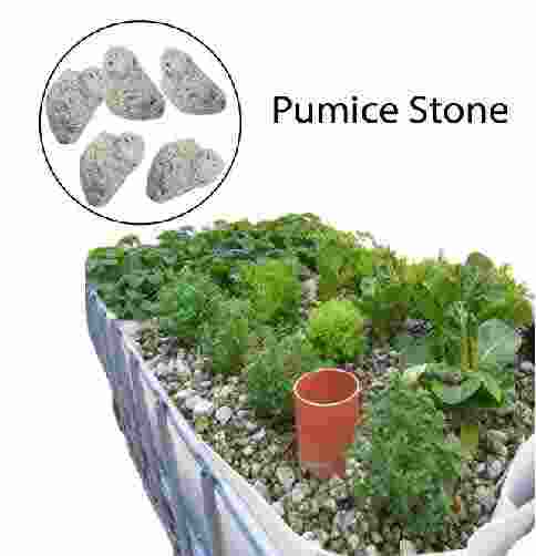 Pumice Stone পিউমিক স্টোন for Aquaponics ,Aquarium, Hydroponics & Gardening