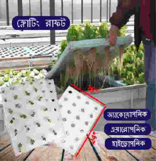 Floating Rafts Foam for DWC ,Hydroponics, Greenhouse, Aeroponic, Aquaponics, DWC system