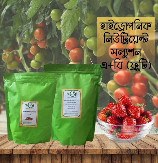 Hydroponic stock solution A + B for fruity capsicum, cucumber ,strawberry, tomato ,melon etc  (1kg)
