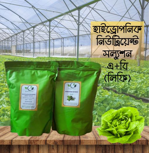 Hydroponic nutrient solution A + B for lettuce ,others leafy greens  (1 kg)