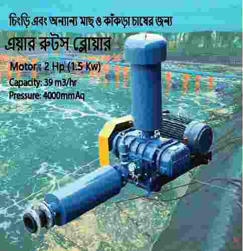 TH-40 2HP (1.5 Kw) Roots Air Blower for aquaculture, food & beverage, chemicals, water, pulp & paper, mining, cement, power, metals and oil & gas.  Trundean-Taiwan