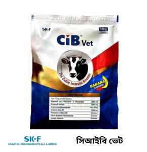 সিআইবি ভেট ওরাল পাউডার যে কোন ধরনের এন্টিবায়োটিকের সাথে দ্রুত সুস্থতার জন্য গবাদি প্রাণির রোগ  প্রতিরোধ ক্ষমতা বৃদ্ধি করে সংক্রমণ প্রতিরোধে সাহায্য করে-100 gm