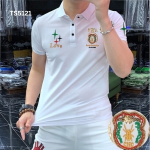 Half Sleeve Premium Polo T-shirt For Men - TS5121