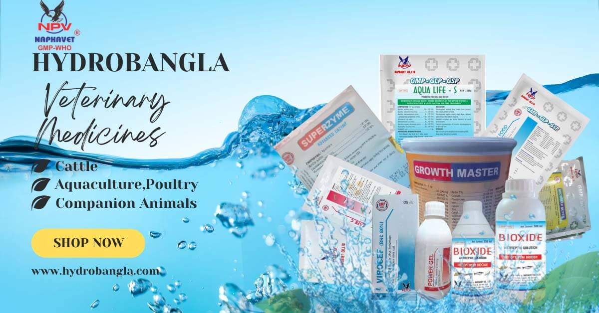 Hydrobangla promo