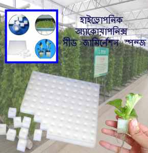 Seed Germination Sponge foam Block for Hydroponics, Aquaponics, Greenhouse- 64 Cube