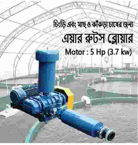 5 Hp (3.7 kw) Air Roots Blower for aquaculture, food & beverage, chemicals, water, Waste Water Treatment , pulp & paper, Electroplating Industry, Powder Conveyance, Grain Transport  Model: TH-50