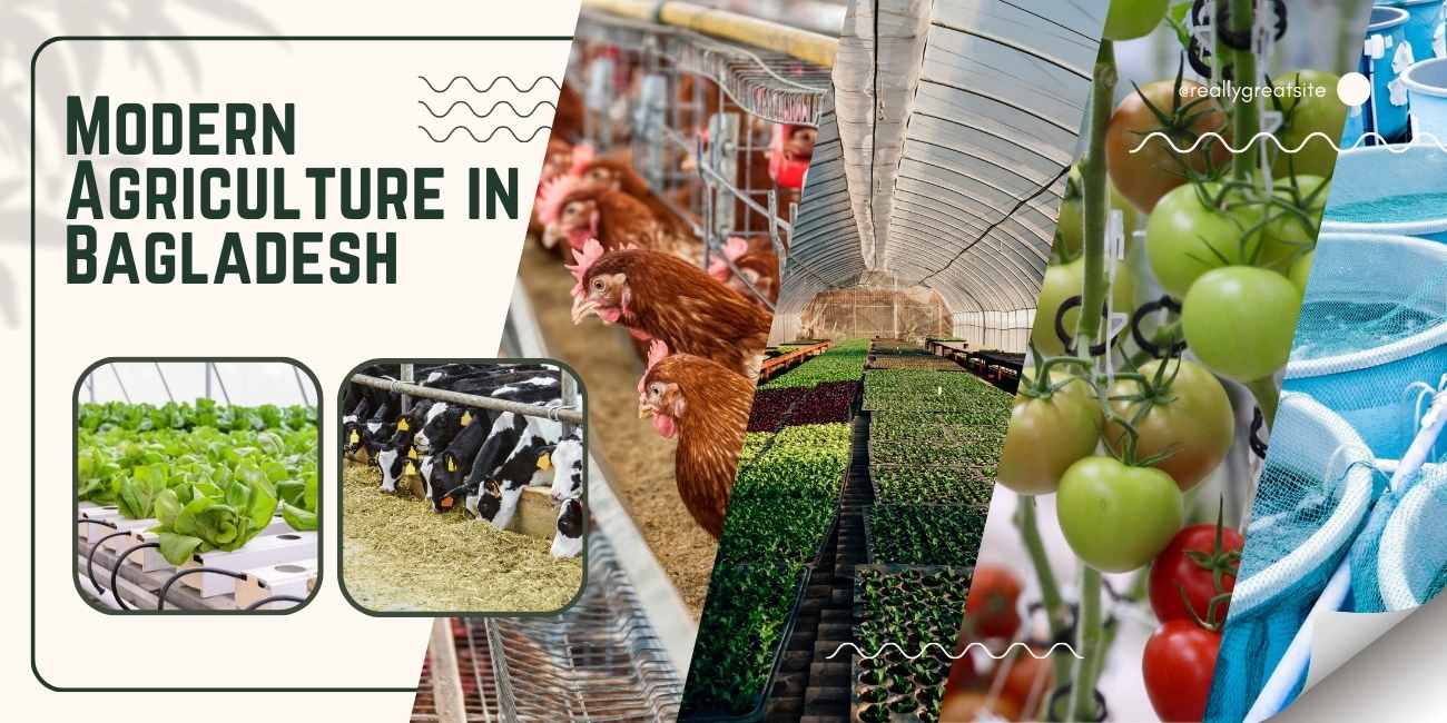 Modern Agriculture in Bagladesh