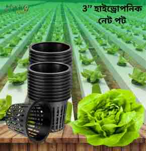3” Inch Net pot নেট-পট Cups Basket for Hydroponics Aquaponics