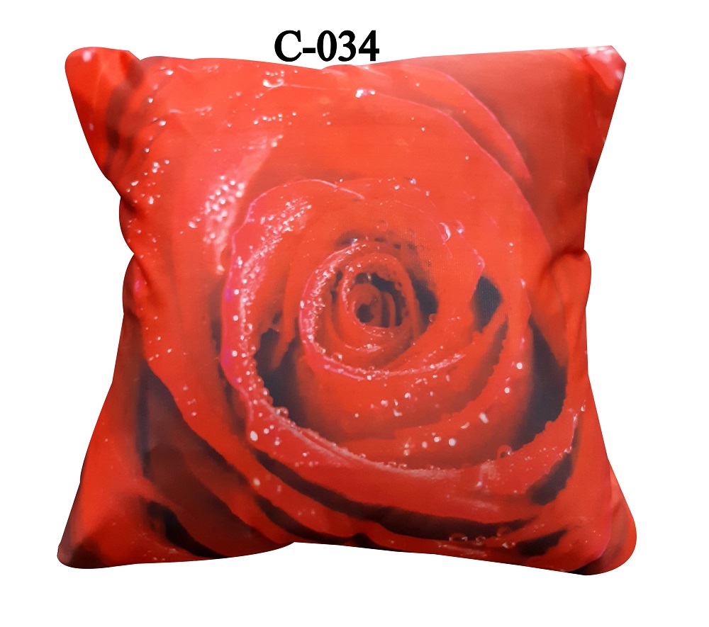 Digital Print Cushion Cover C034